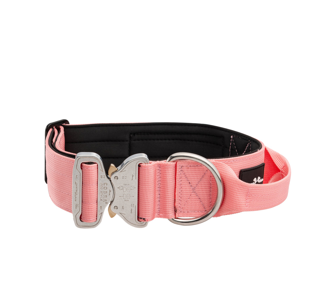 SALE % On Duty Cobra Haltegriff Halsband 5 cm für grosse Hunde (48 cm-52 cm)