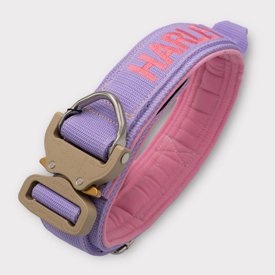 Luxus Heavy Duty Halsband 5 cm /7 cm/ 10 cm für grosse Hunde (zusätzliche Polster-Unterlage)