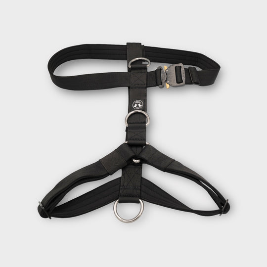 NEW: Cobra 3Point chest harness On Duty black (M-XL 105cm)