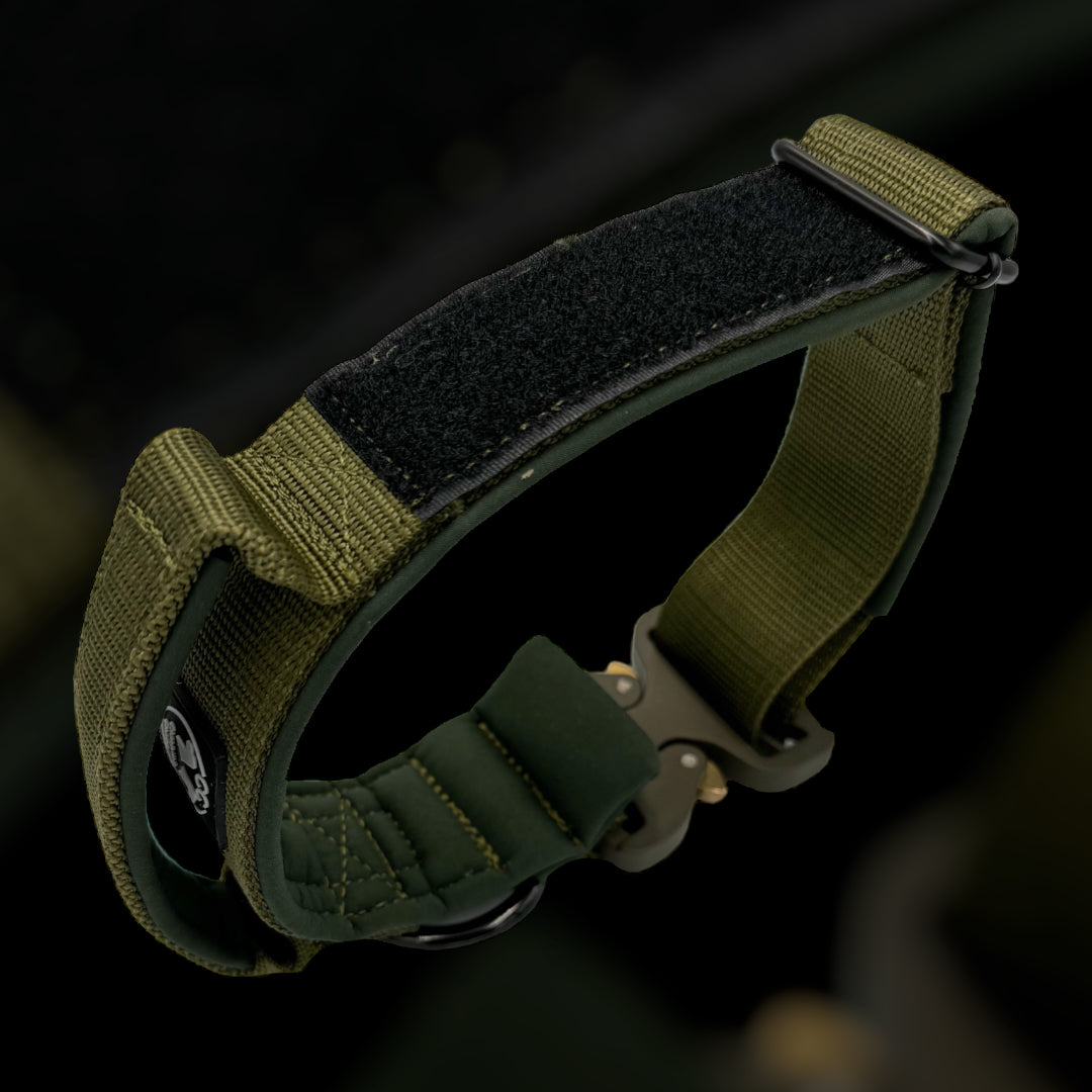 All Army On Duty 4 cm breit (34 cm-59 cm) - army-grün (Schnalle wie Halsband)