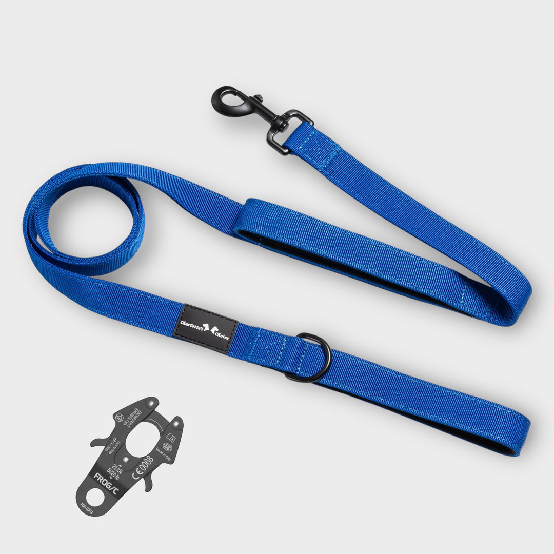 On Duty royal blue 1.50m 2.5cm wide with short strap <tc>leash</tc> for large dogs 50kg+