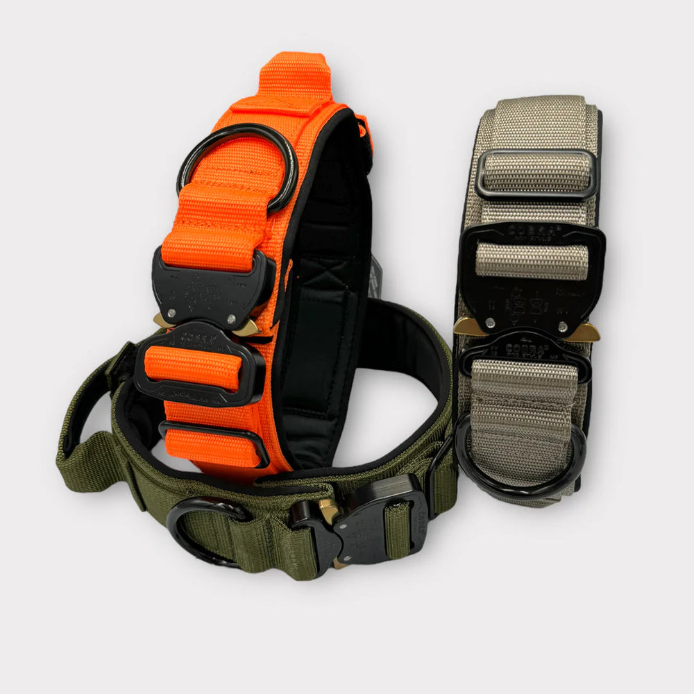 Tac Team Pro 5cm with strong <tc>leash</tc> 360 Kong