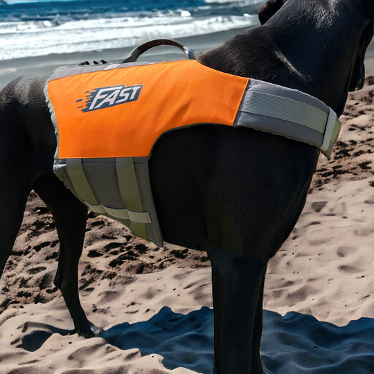Gilet de natation de qualité pour chiens