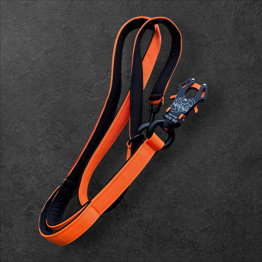 2.5 cm <tc>leash</tc> personalized with standard carabiner, Frog Cable or Frog 360