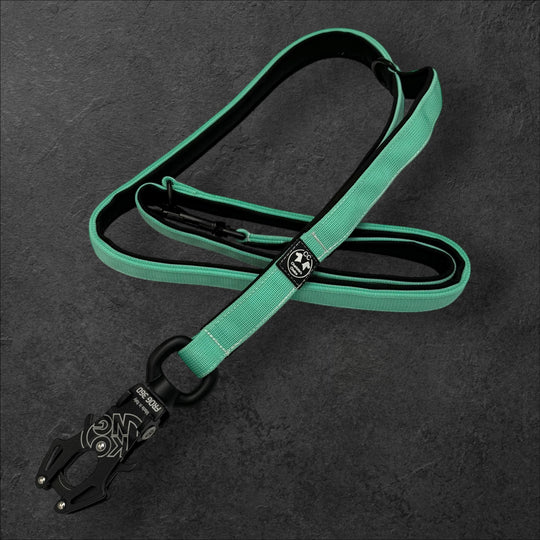 2.5 cm <tc>leash</tc> personalized with standard carabiner, Frog Cable or Frog 360