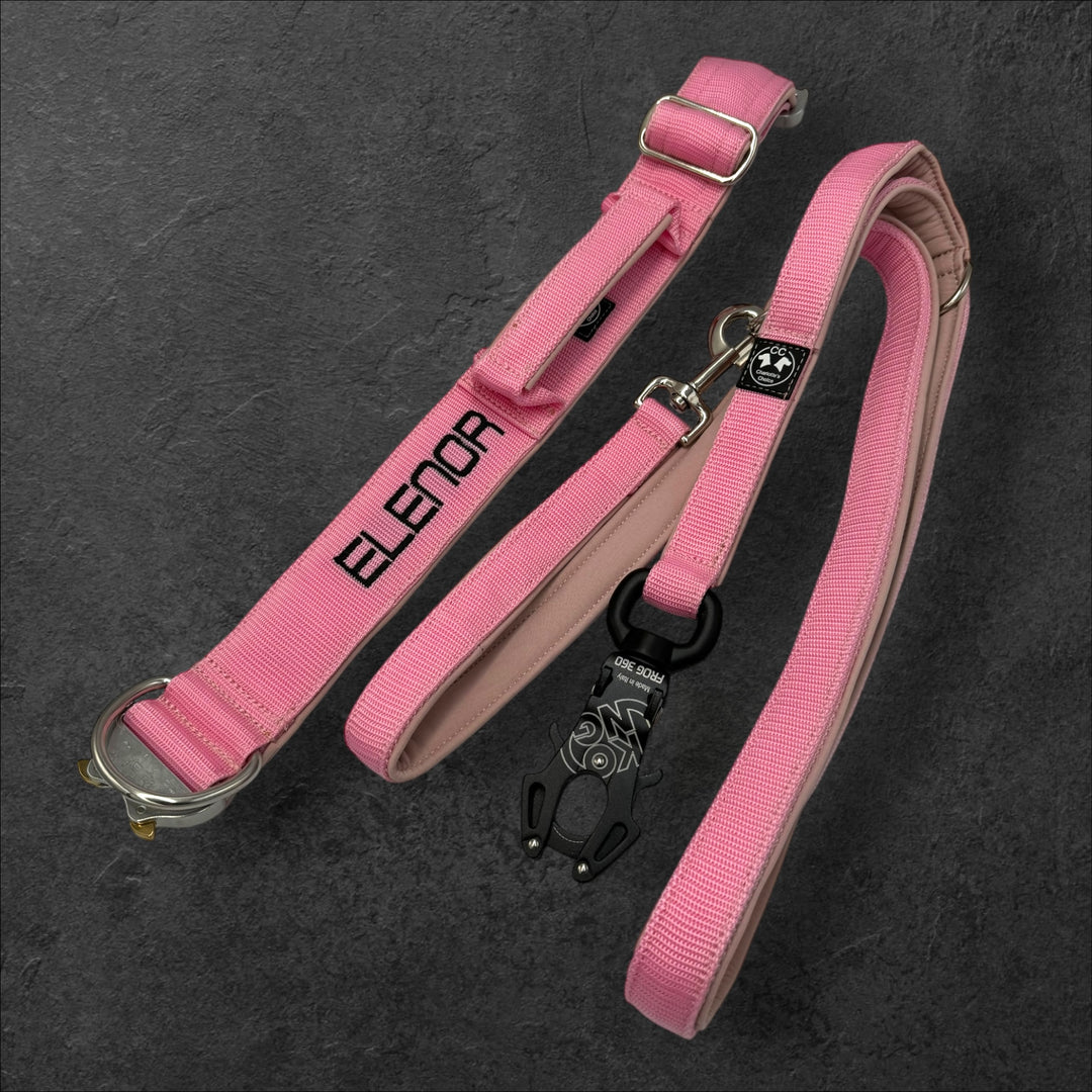 2.5 cm <tc>leash</tc> personalized with standard carabiner, Frog Cable or Frog 360