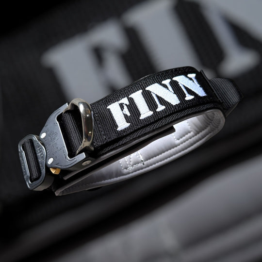 Luxury <tc>Heavy Duty</tc> Collar 5 cm / 7 cm / 10 cm for large dogs (additional padding)