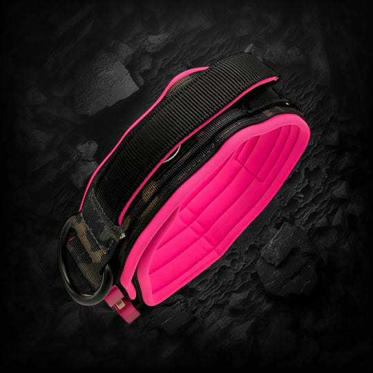 Limited edition pink & camouflage 5 cm wide (41 cm -60 cm) - Black camouflage (buckle pink)