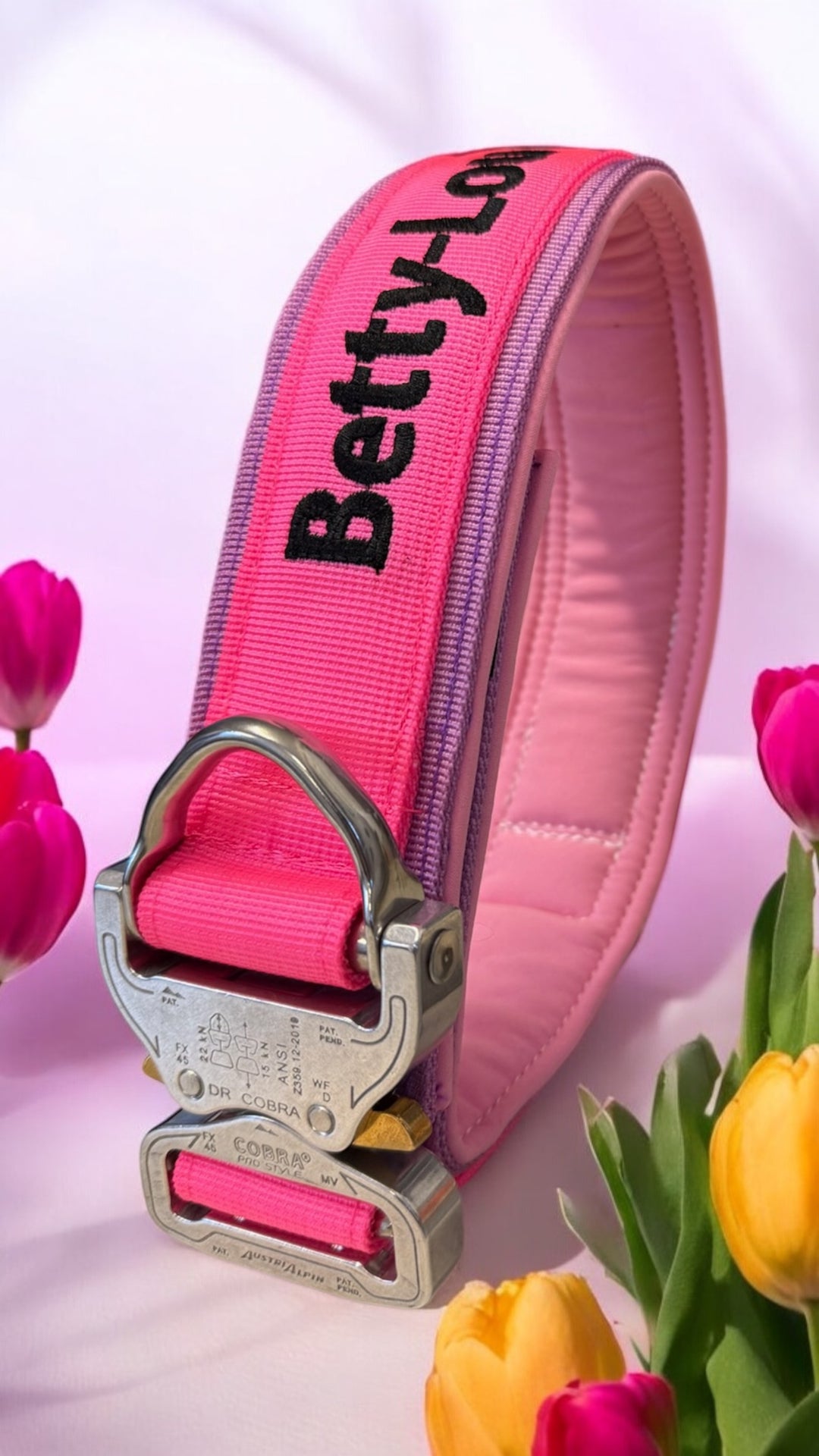 Luxus Heavy Duty Halsband 5 cm /7 cm/ 10 cm für grosse Hunde (zusätzliche Polster-Unterlage)