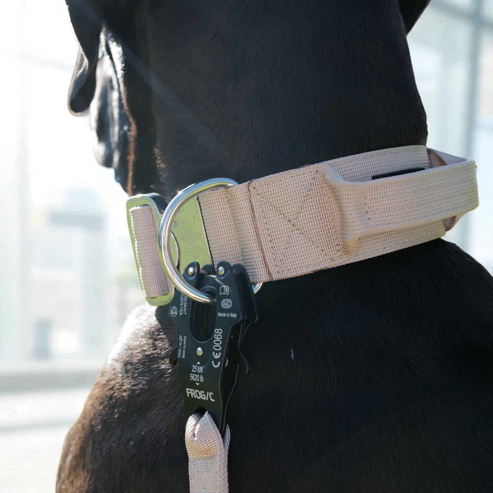 Beiges Halsband
