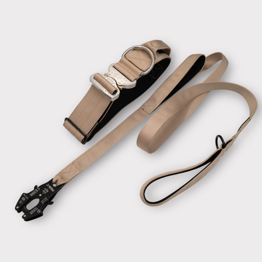 Leinen und Halsband Set