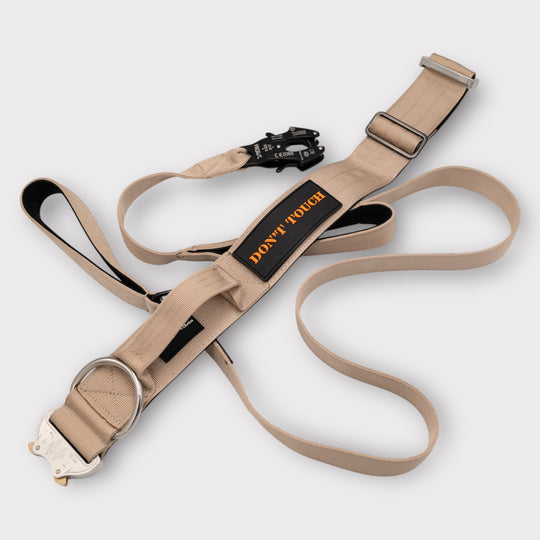 sicheres Halsband für grosse hunde