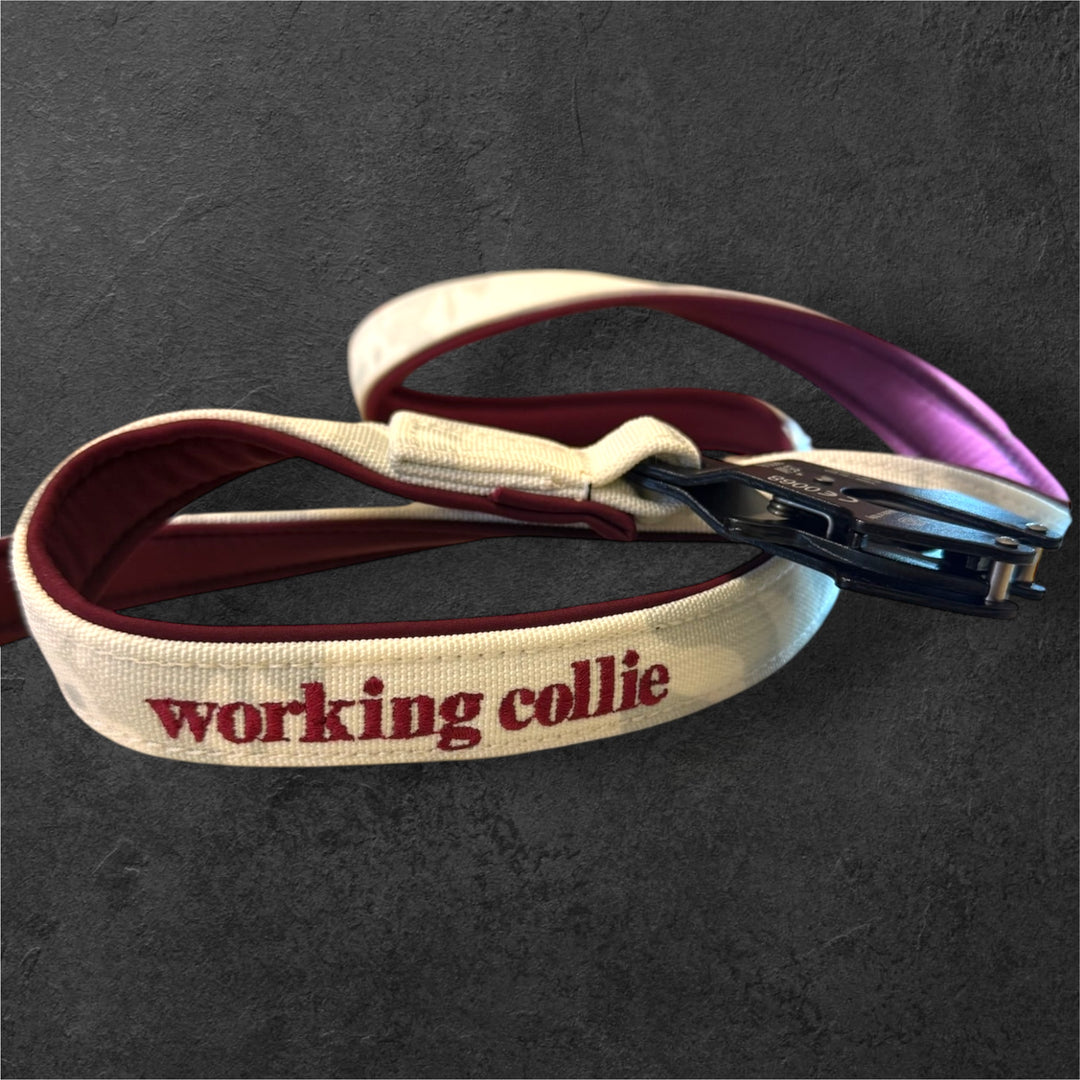 2.5 cm <tc>leash</tc> personalized with standard carabiner, Frog Cable or Frog 360