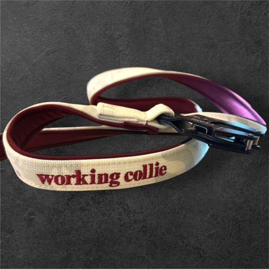 2.5 cm <tc>leash</tc> personalized with standard carabiner, Frog Cable or Frog 360