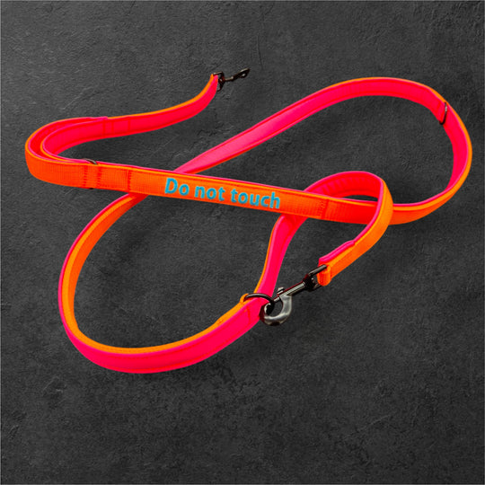 2.5 cm <tc>leash</tc> personalized with standard carabiner, Frog Cable or Frog 360