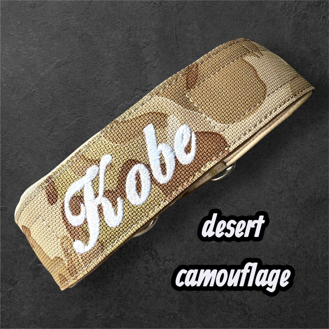 4 cm wide <tc>leash</tc>n with Frog 360 personalized