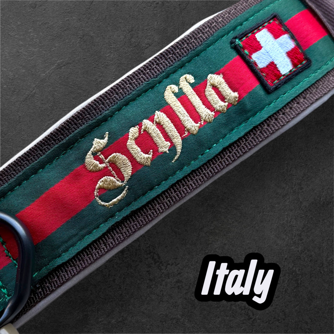 4 cm wide <tc>leash</tc>n with Frog 360 personalized