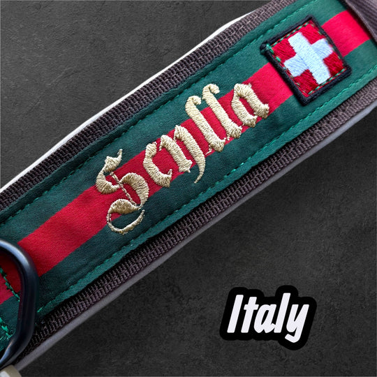 4 cm wide <tc>leash</tc>n with Frog 360 personalized