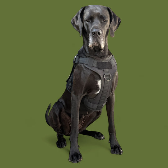 Neu! Alltrail CC-K9 V2 Professional Magnetgriff Dienstgeschirr mit Sicherheits-Cobras