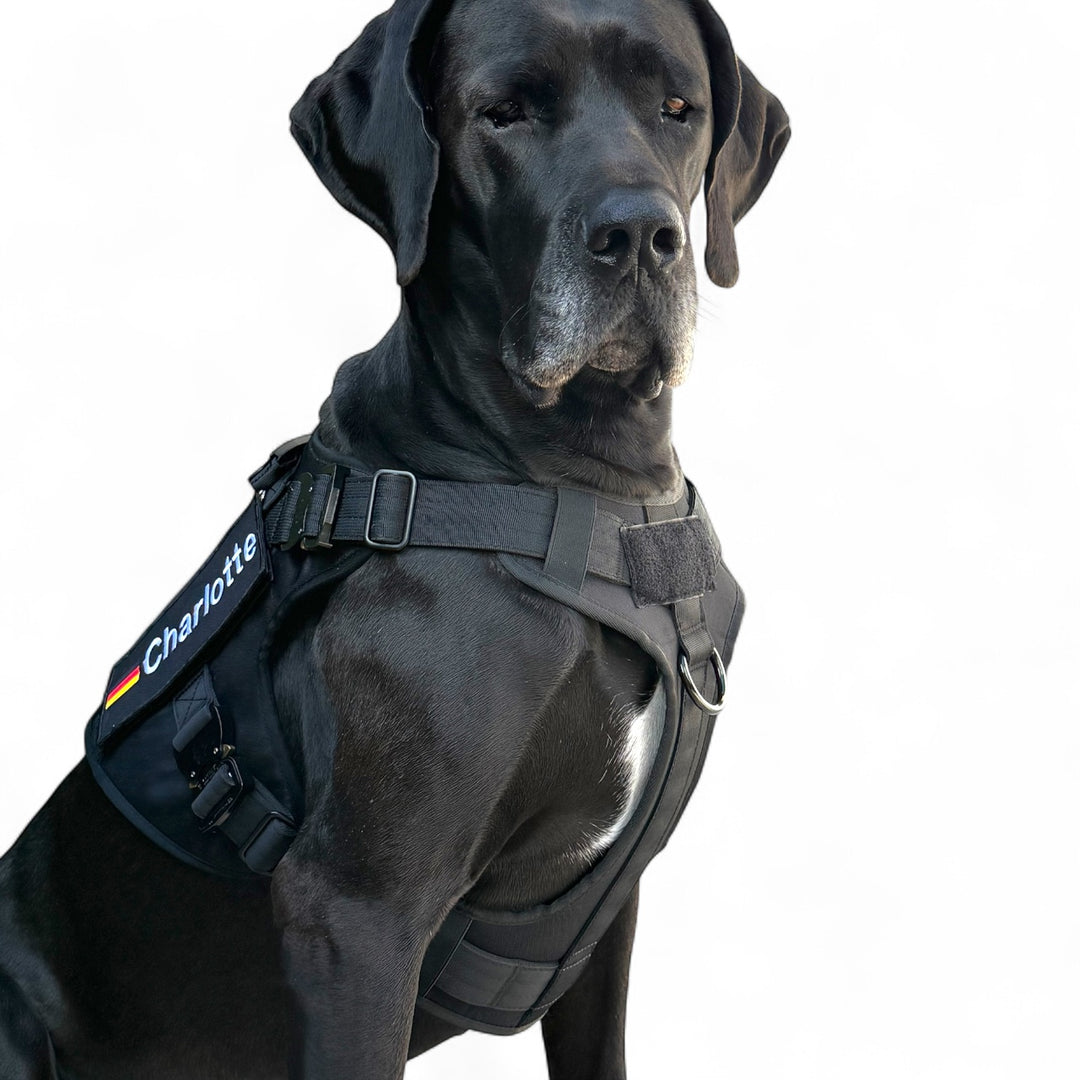 Neu! Alltrail CC-K9 V2 Professional Magnetgriff Dienstgeschirr mit Sicherheits-Cobras