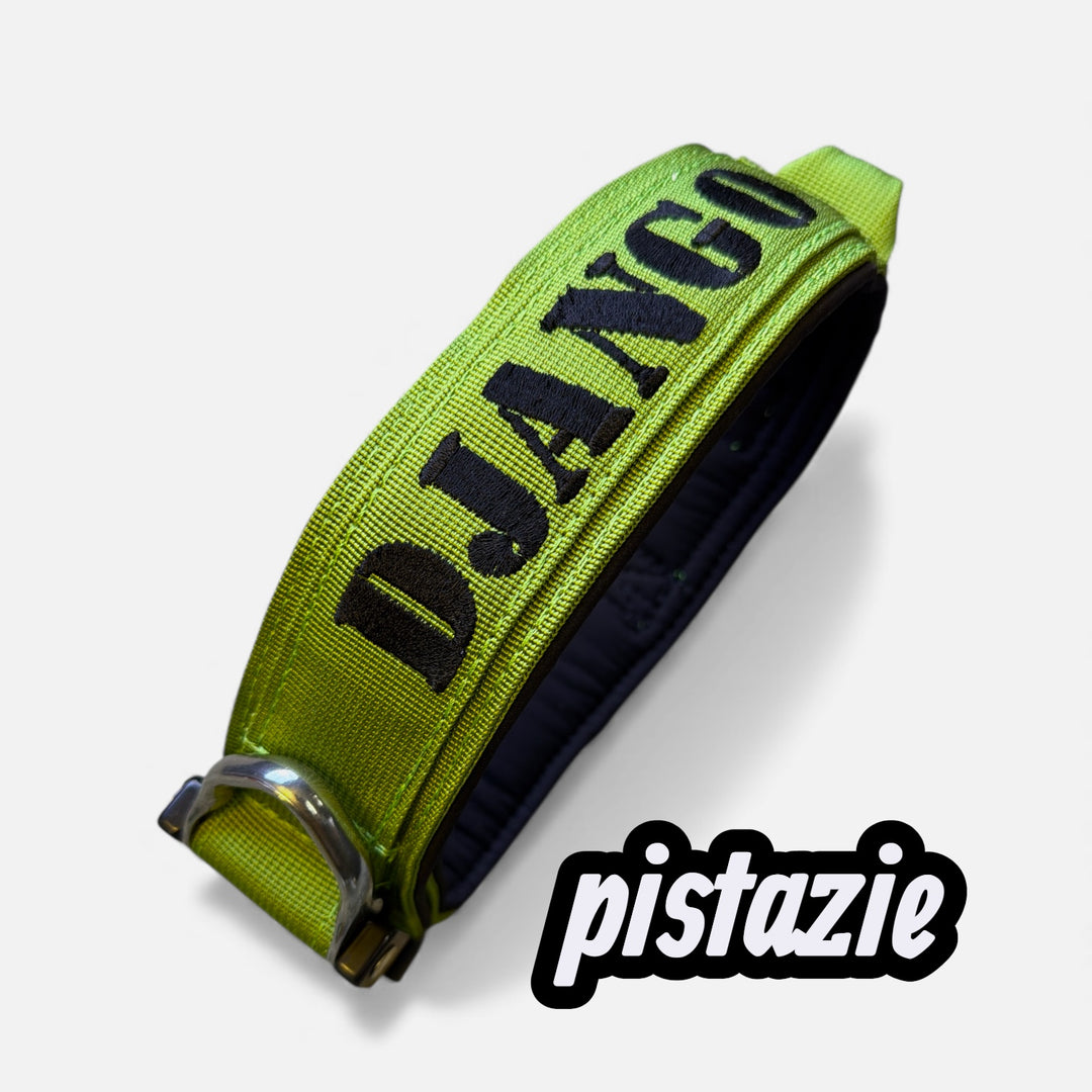 Luxury <tc>Heavy Duty</tc> collar mass collar configurator 5 cm / 7 cm / 10 cm for large dogs