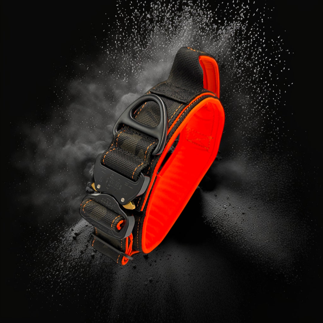 Limited Editions Camouflage Tac Team Pro Cobra 5 cm breit (36 cm-60 cm)