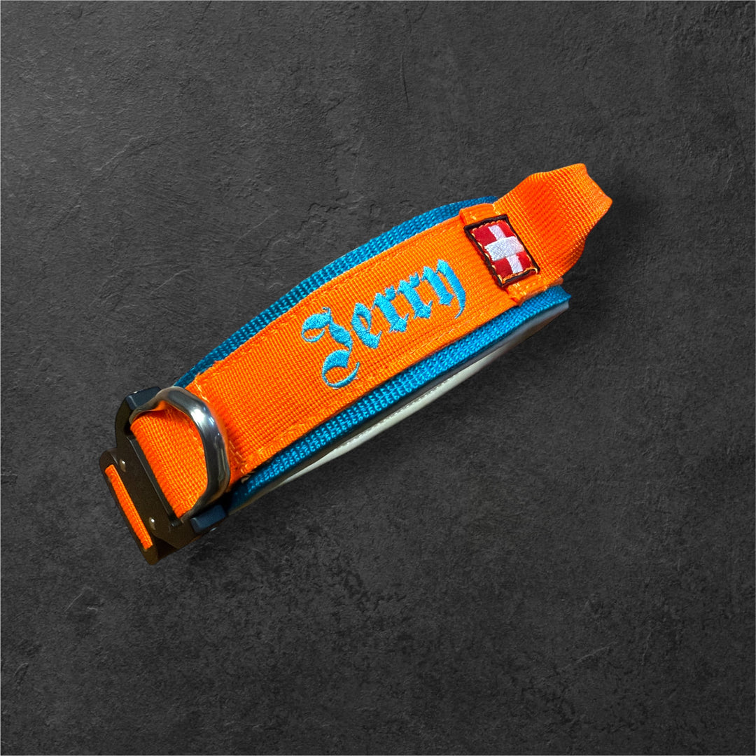 Luxus Heavy Duty Halsband 5 cm /7 cm/ 10 cm für grosse Hunde (zusätzliche Polster-Unterlage)