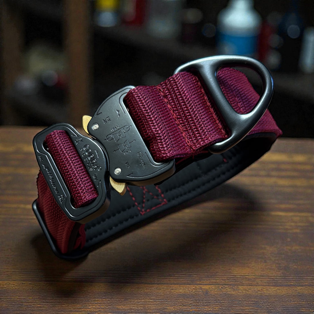 Your Choice - Mass Halsband 2.5 cm/4 cm/5 cm breit