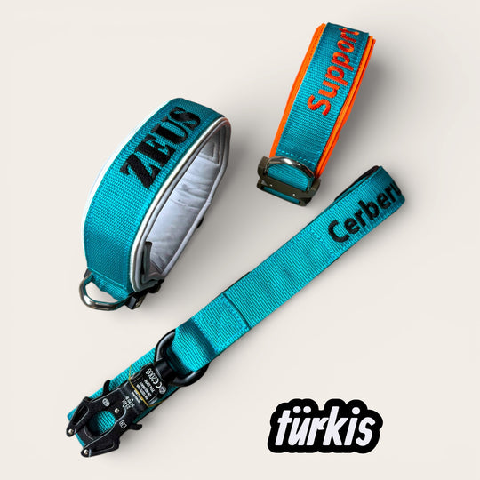 4 cm de large <tc>laisse</tc>n personnalisées avec Frog 360, 1,5 m
