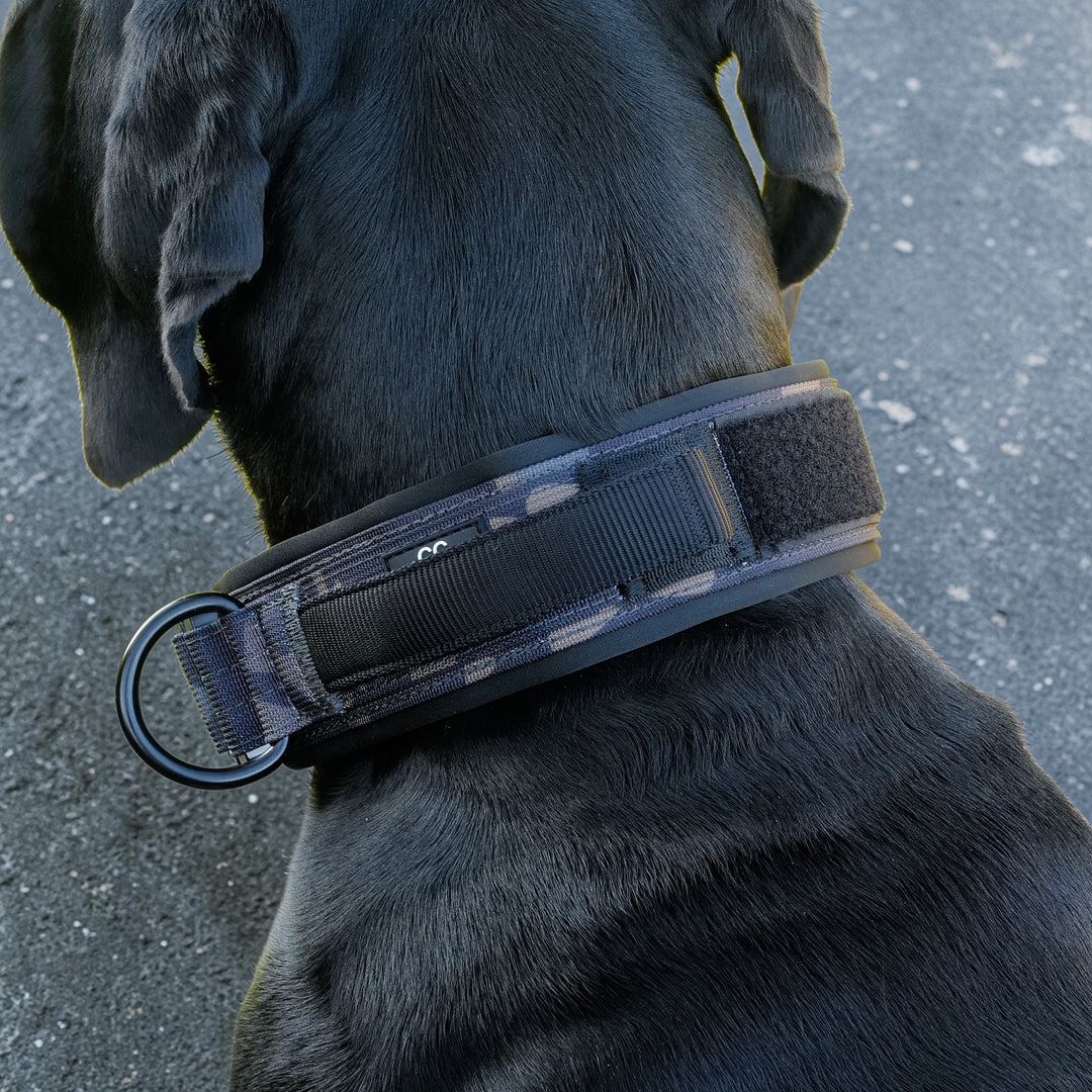 Limited Edition black camouflage 5 cm breit (41 cm-60 cm) mit Magnetgriff