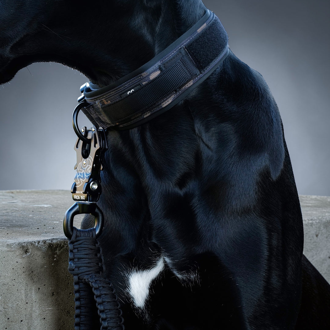 Limited Edition black camouflage 5 cm breit (41 cm-60 cm) mit Magnetgriff