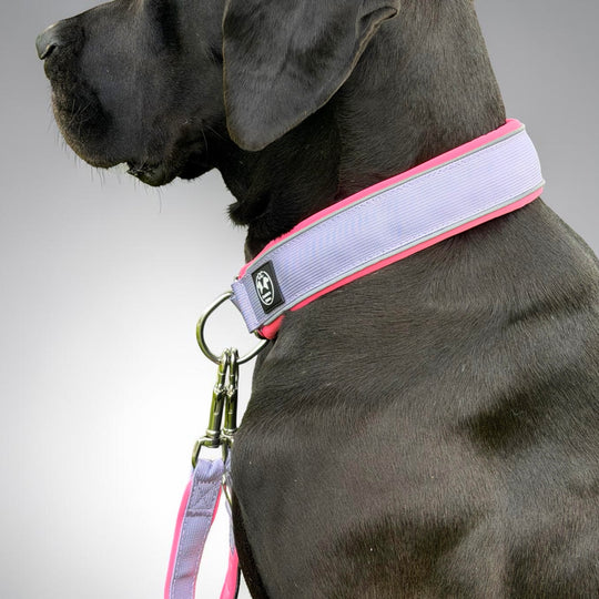 Halsband schöne Farbe lila hell mit rosa
