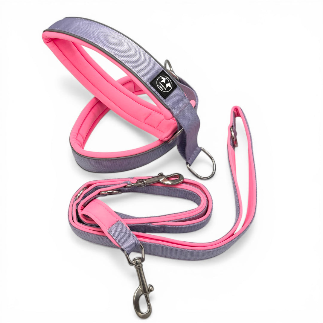 Halsband lila und rosa mit Leine