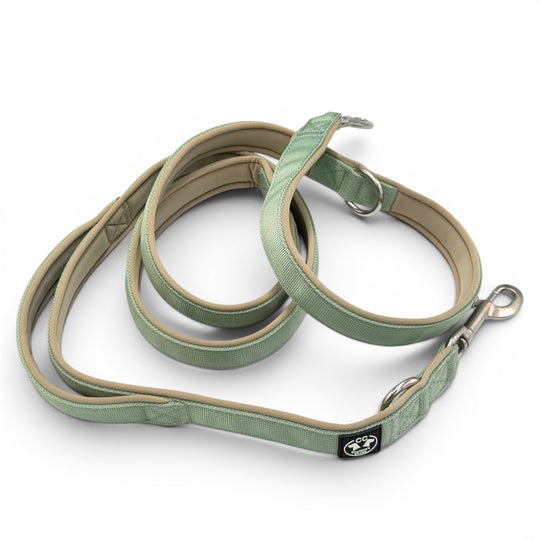Adjustable <tc>leash</tc> 2.20 m sage fully upholstered