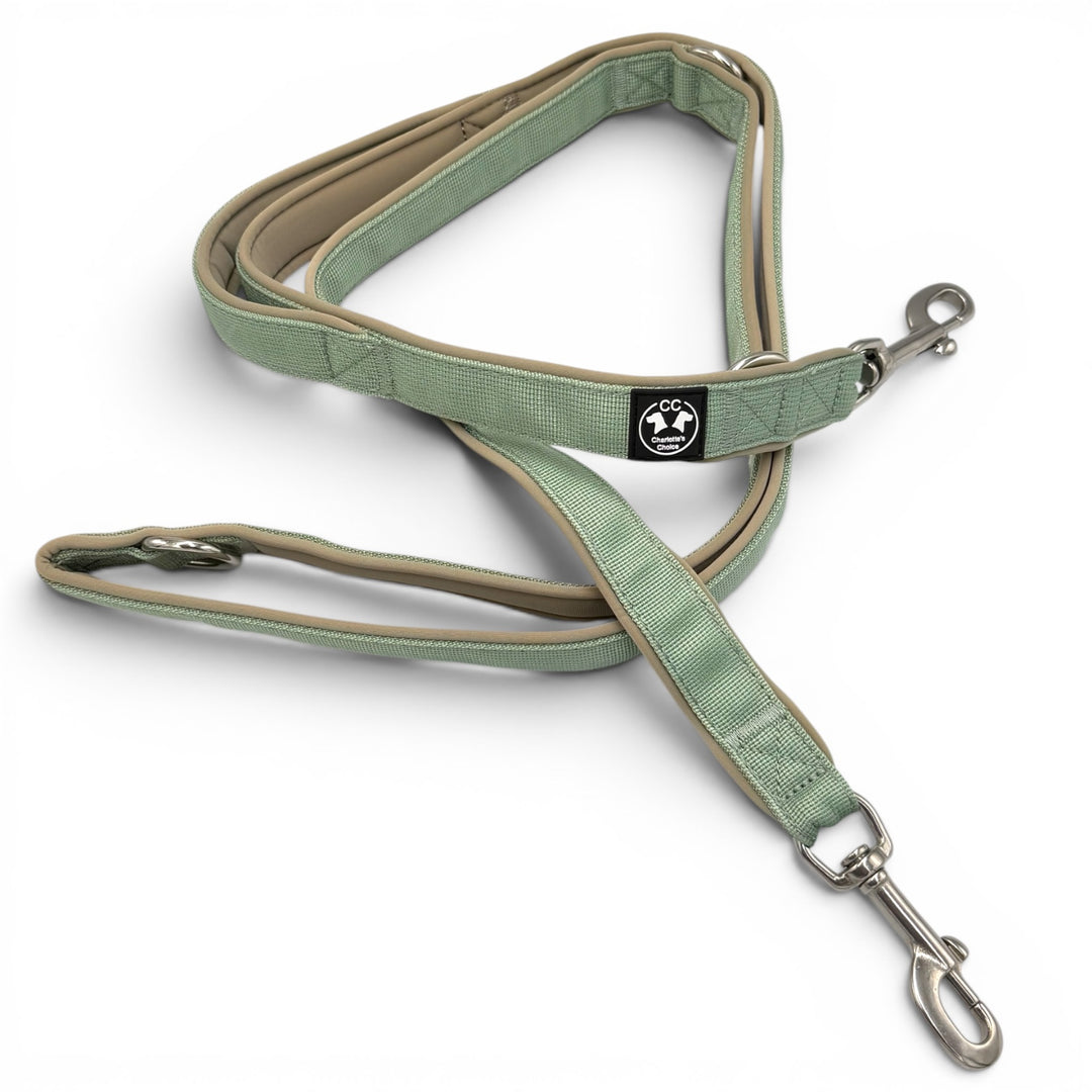 Adjustable <tc>leash</tc> 2.20 m sage fully upholstered