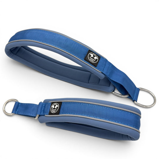halsband blau zugstopp