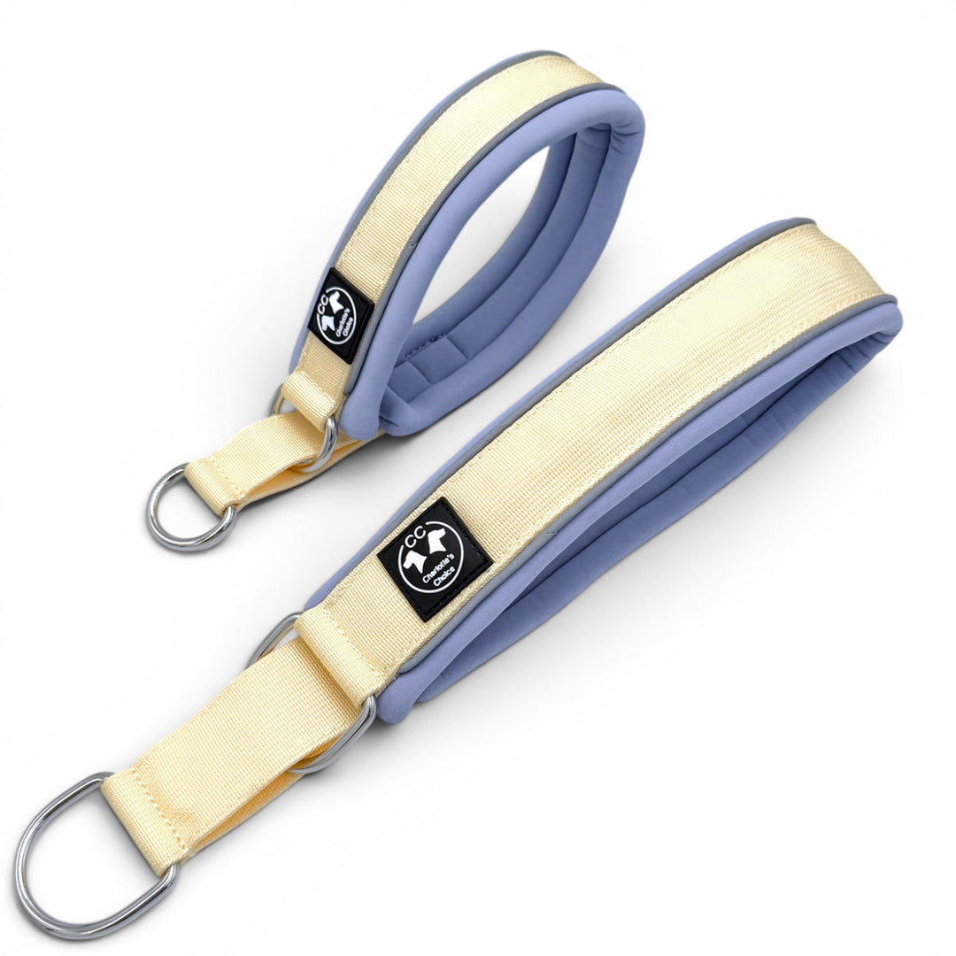 Zugstopp Halsband blau weiss