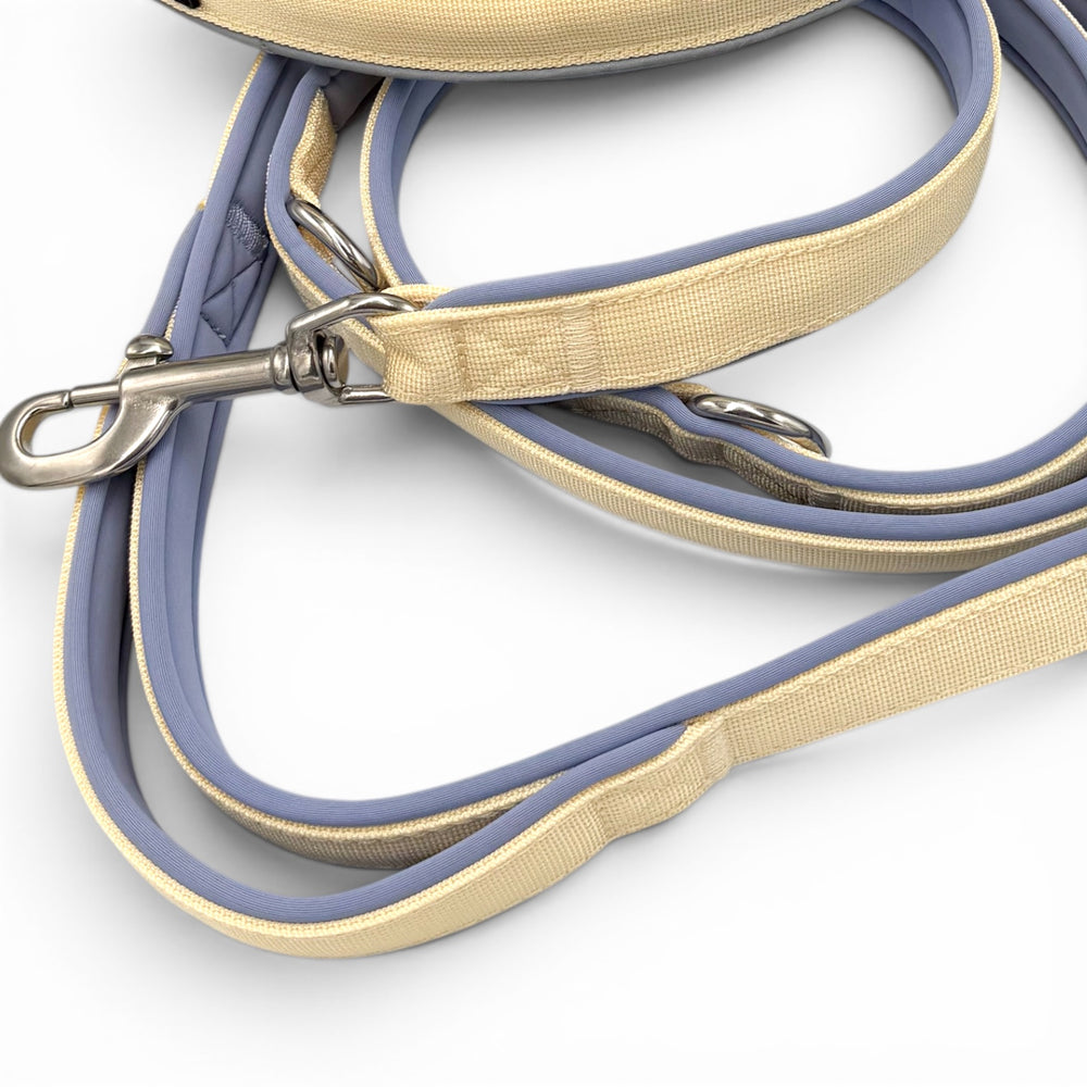 Leine mit starkem Karabiner