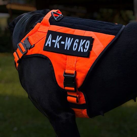 Signalweste Hunde orange