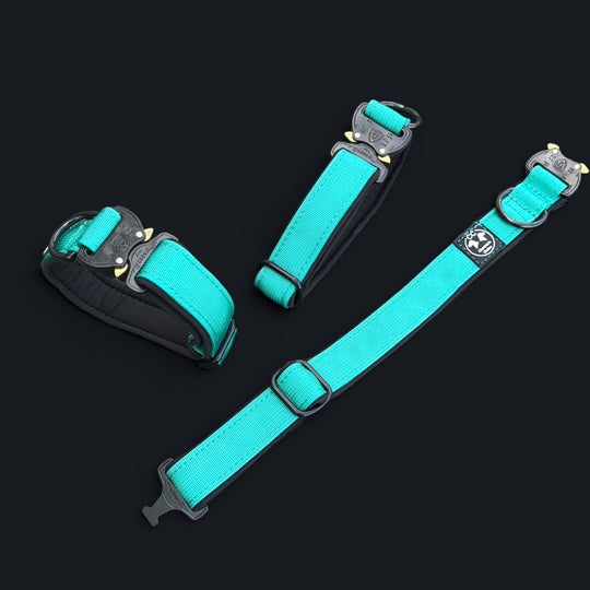 schmales Halsband in türkis
