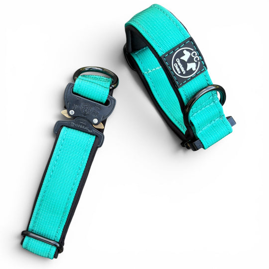 Halsband für kleine hunde türkis