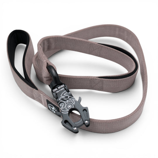 4 cm de large <tc>laisse</tc>n personnalisées avec Frog 360, 1,5 m
