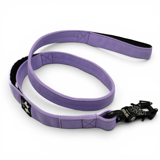 4 cm de large <tc>laisse</tc>n personnalisées avec Frog 360, 1,5 m