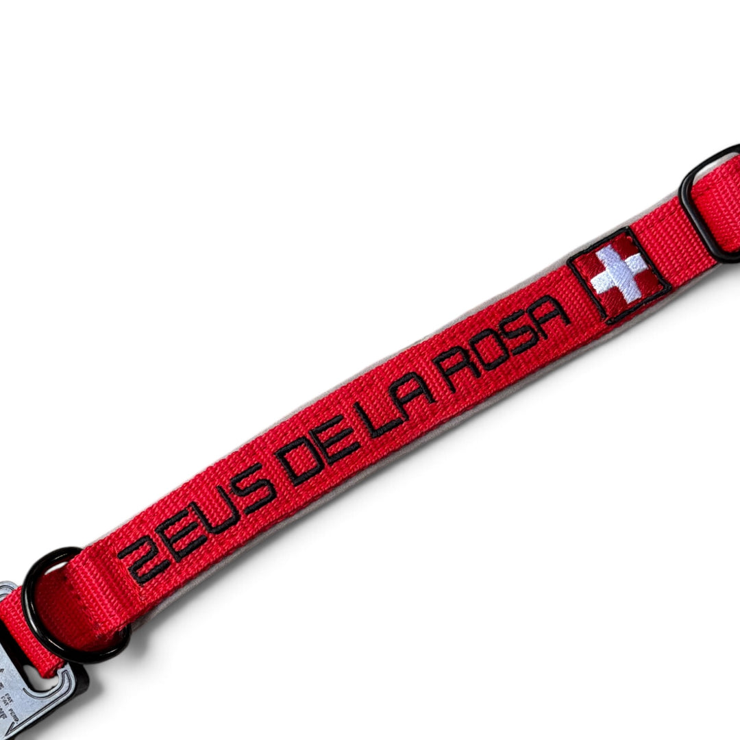 Your Choice - personalisiertes Hundehalsband nach Mass 2.5 cm/4 cm/5 cm breit - mit Cobra Schnalle
