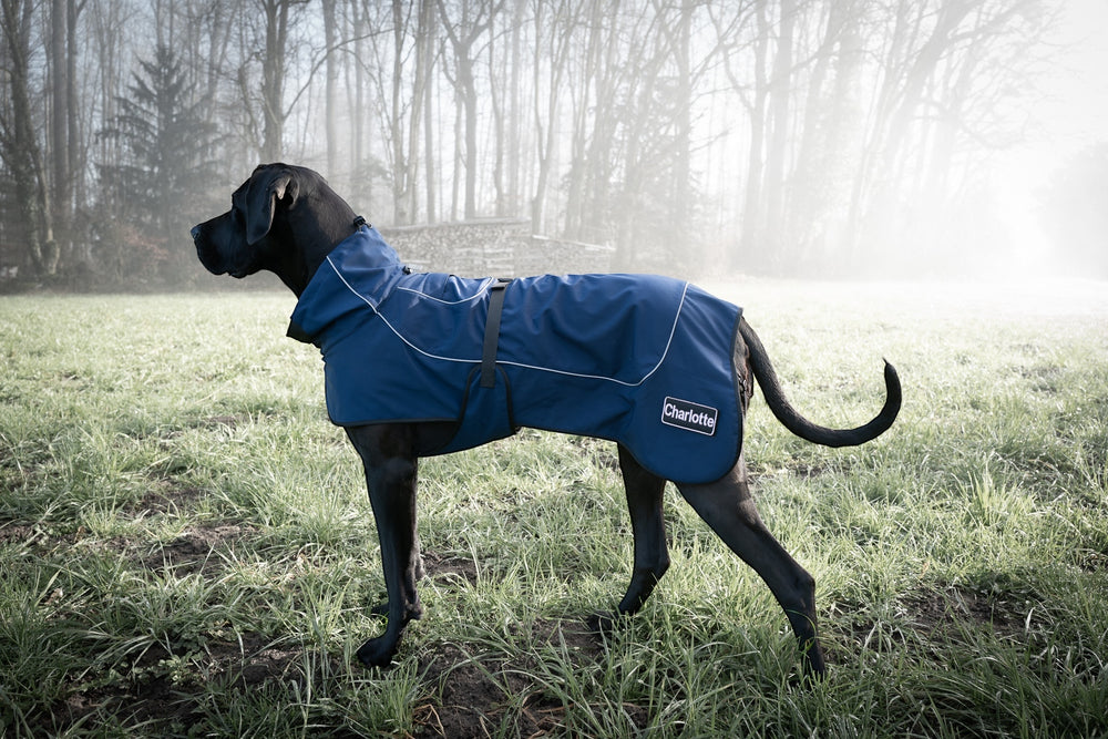 Ultraleichter Sailor Regenmantel in Navy-Dunkelblau für Hunde (bis 76 cm Rückenlänge) mit wasserdichtem Polyester, reflektierenden Elementen, verstellbarem Kragen, Bauchband mit Cobra-Schnalle und weichem Fleece-Innenfutter. Für grosse Hunde.