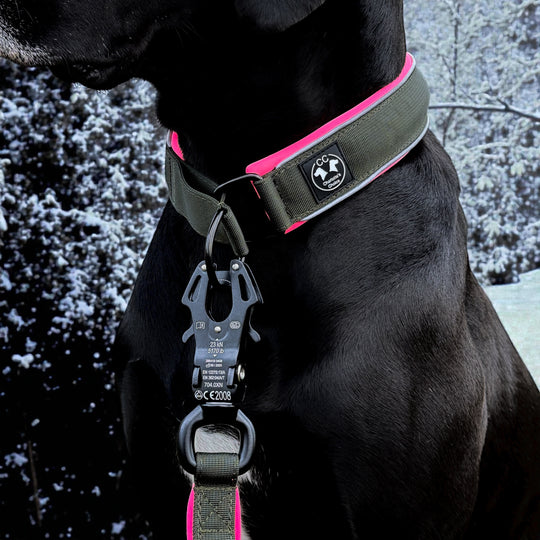 Comfo-Zugstopp limited edition Dark army 4&5 cm Breite (35 cm-60 cm)