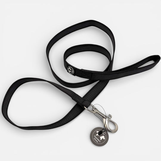 Gummierte Leine 2.5 cm 1/2/3/5/10/15 m Standard Karabiner