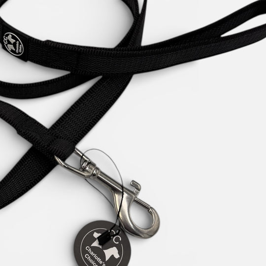 Gummierte Leine 2.5 cm 1/2/3/5/10/15 m Standard Karabiner