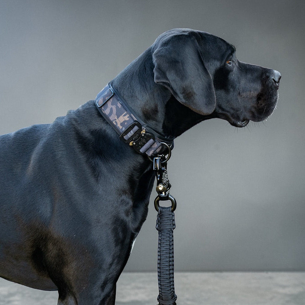 Halsband für grosse Hunde robust