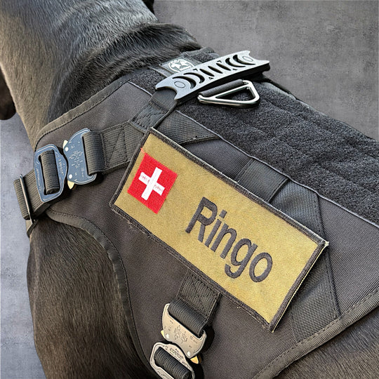 Polizeigeschirr mit Magnetgriff  mit Autrialpin Cobra mit Patchfläche